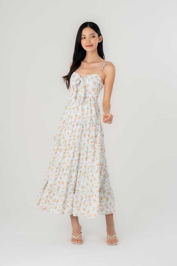 Anika Dress in Blue Floral
