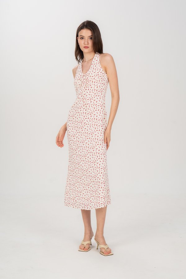 Jen Dress in Red Floral